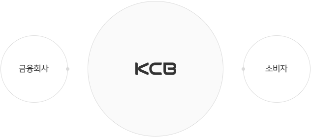 KCB - 금융회사, 소비자